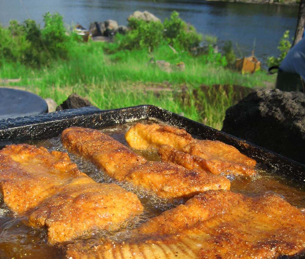 White Iron Chain Lakes Fishing Guides Ely Guided Fishing Trips BWCA