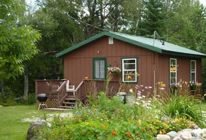 Lakeside Cabin Vacation Rental Ely MN