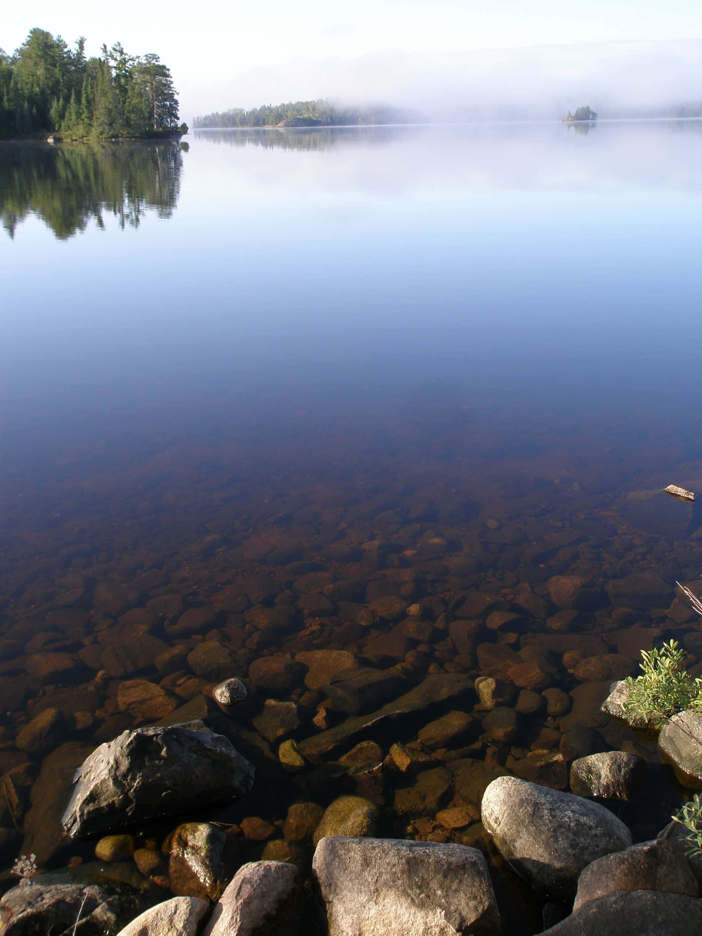 Nature BWCA 